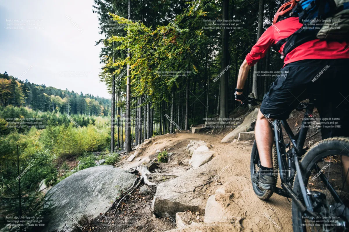 A mountain biker navigates a rocky trail surrounded by dense forest, capturing the thrill and adventure of outdoor sports like mountain biking and hiking. The image radiates excitement and a spirit of exploration amidst natural beauty.