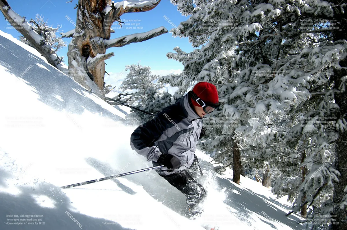 A skier navigates down a snow-covered slope surrounded by trees, capturing the excitement of winter sports. The bright, snowy landscape and the skier’s dynamic posture convey adventure and the thrill of skiing or snowboarding.